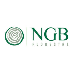 logo_ngb