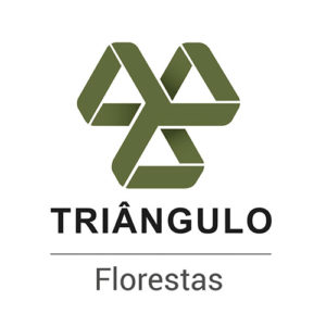 logo_triangulo