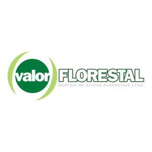 logo_valor