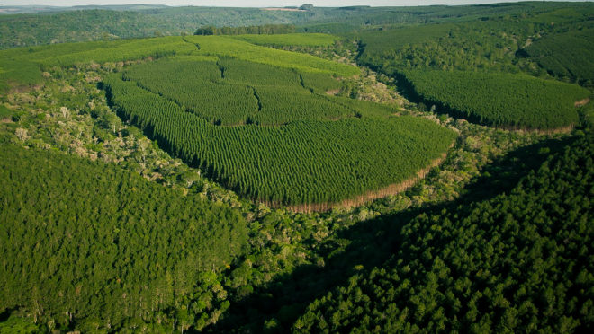 O selo FSC (do inglês, Forest - Árvore, Ser Tecnológico