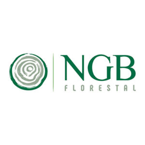 logo_ngb.jpg