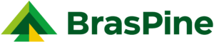 Braspine