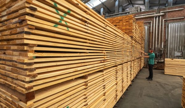 APRE- 0497- Indústria de Ponta Grossa - Preparo para secagem da madeira - Águia Florestal - Zig Koch