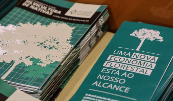 BNDES-Programa-de-Pesquisa-e-Desenvovimento-em-Silvicultura-de-Especies-Nativas