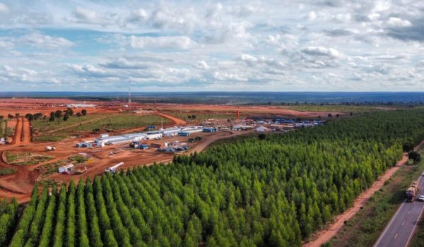 Fabrica-Industria-Arauco-Inocencia-foto-Saul-Schramm