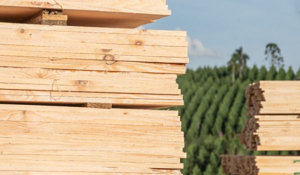 PRÊMIO_APRE_FINALISTAS