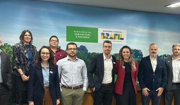 REUNIÃO CÂMARA SETORIAL IBÁ EM BRASÍLIA