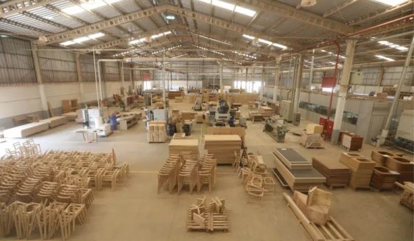 queda-exportacoes-madeira