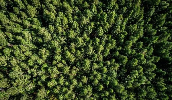 WhatsApp Image 2026-01-08 at 14.46.22