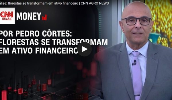 analise-cnn-sobre-florestas-plantadas