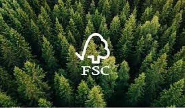 curso-fsc