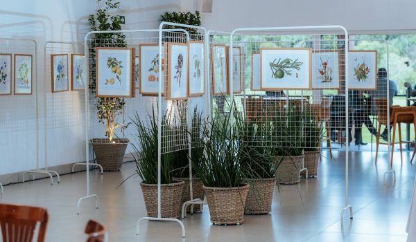exposicao-botanica-evento-apre