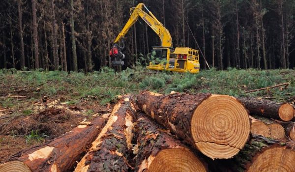 fazenda-cambiju-associada