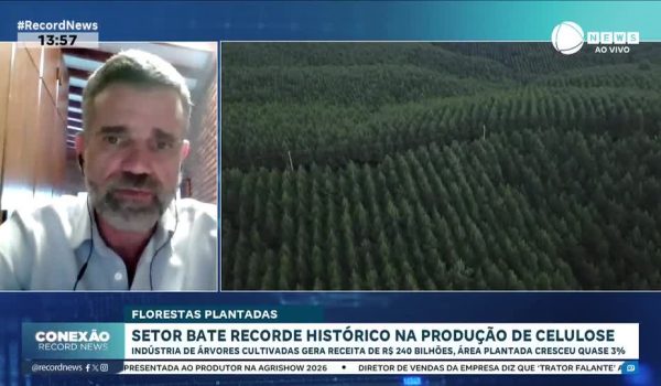 florestas-plantadas-maior-empregadora