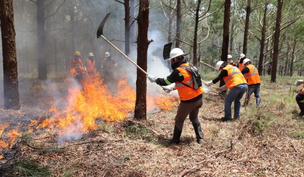 incendios-florestais