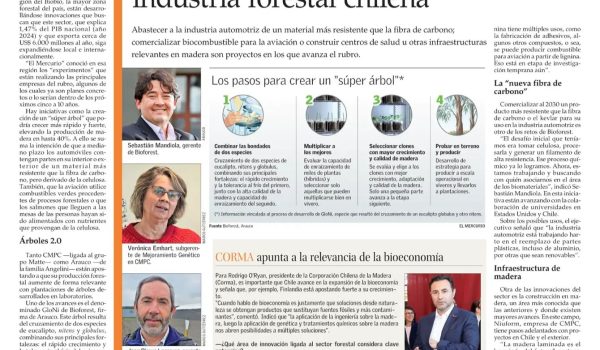 jornal chile