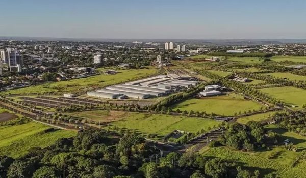 maringa-corpo-de-bombeiros-com-madeira-engenheirada