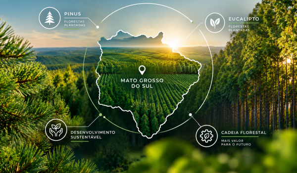 mato-grosso-do-sul