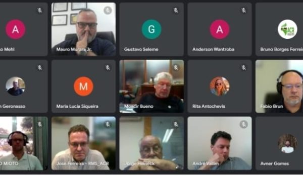 reunião online