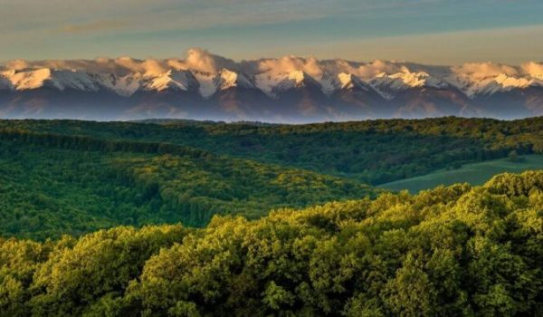 romenia-digitaliza-monitoramento-florestas